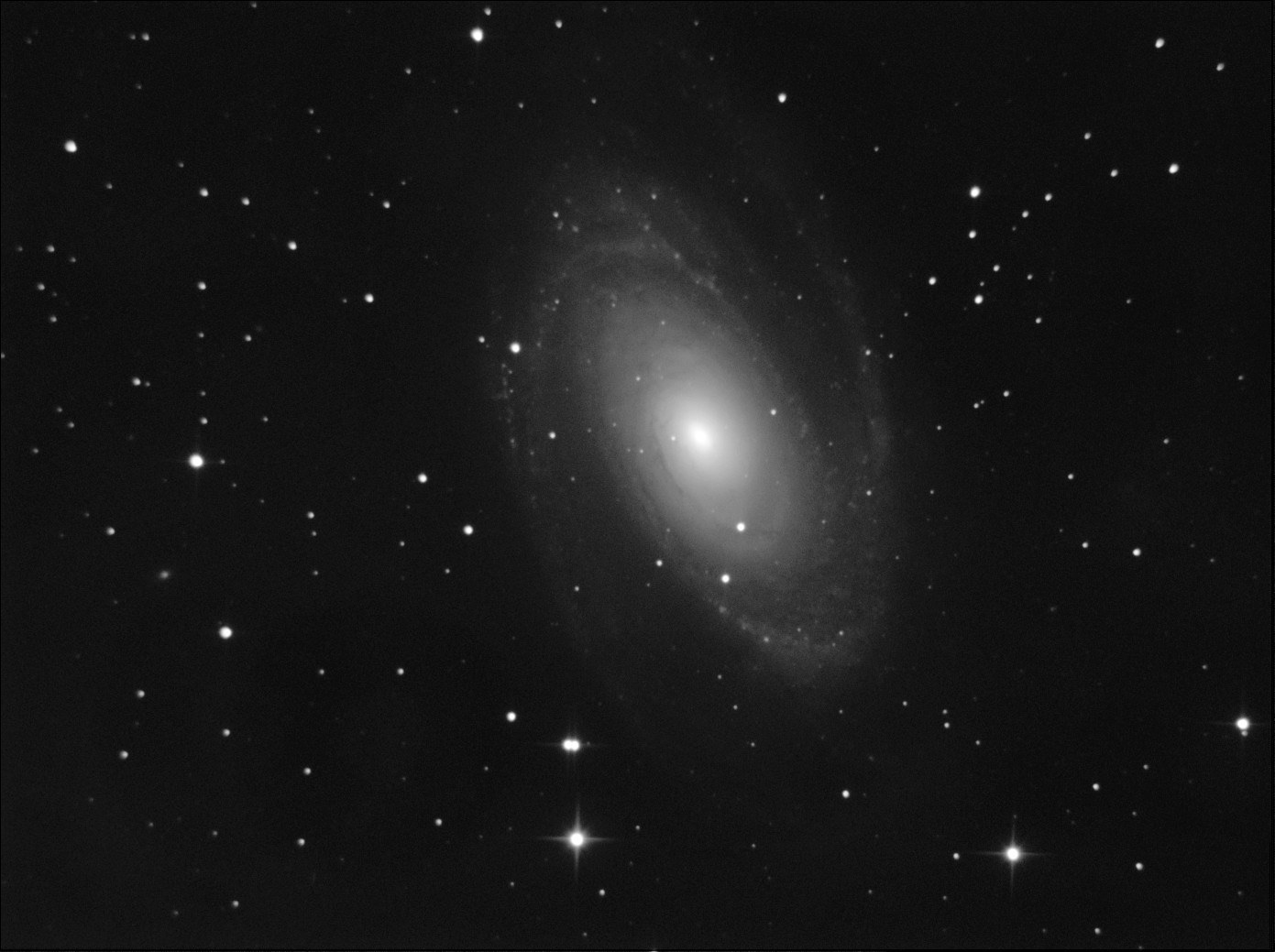 Galassia M81