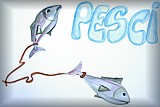 Pesci